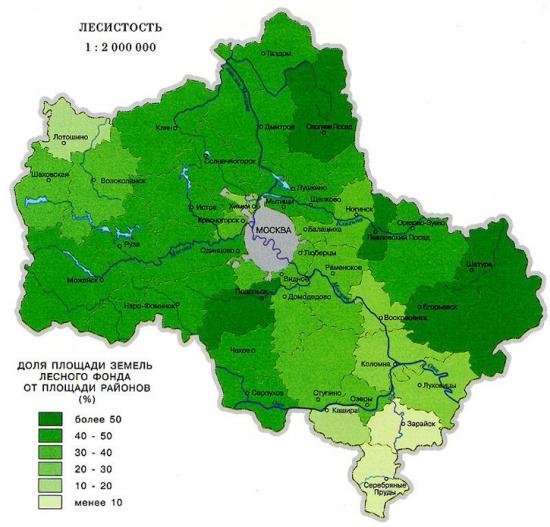 Леса в Подмосковье